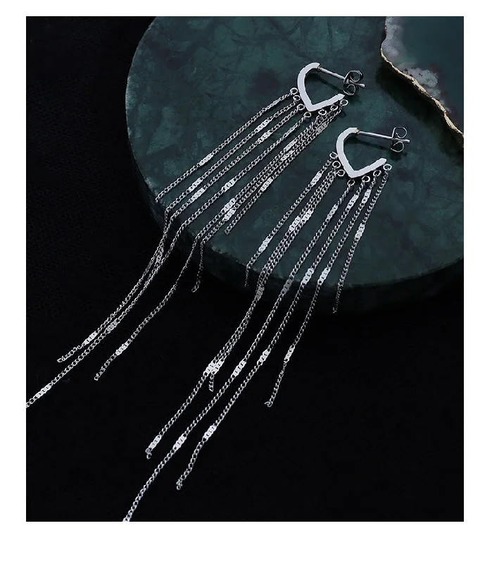 F547 Steel Tassel Earrings